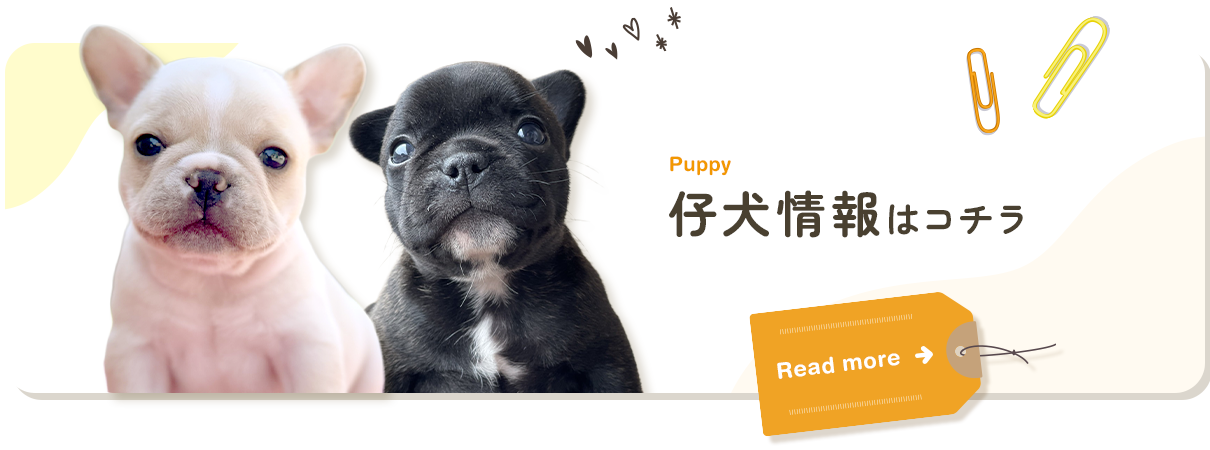bnr_puppy_off